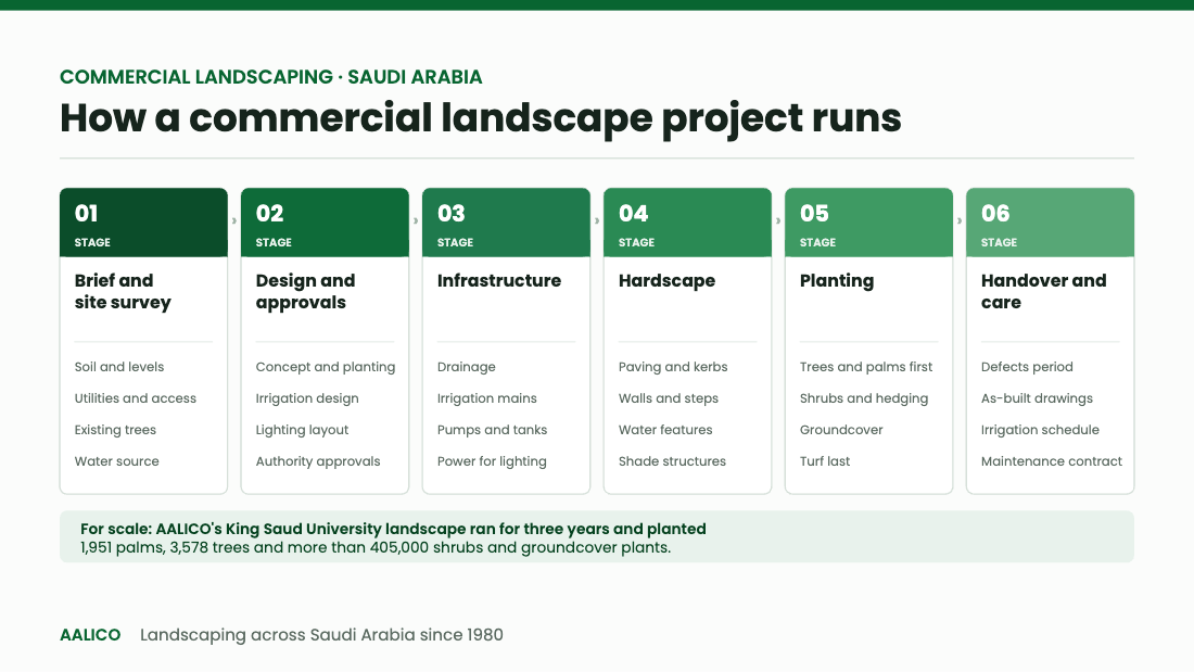 Diagram of the six stages of a commercial landscaping project in Saudi Arabia: brief and site survey, design and approvals, infrastructure, hardscape, planting, and handover and maintenance