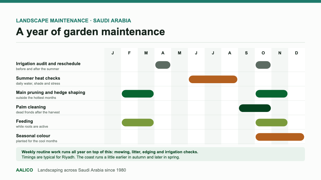 Calendar showing a typical year of landscape maintenance in Saudi Arabia: irrigation audits in April and October, summer heat checks June to August, pruning and feeding in February to March and October to November, palm cleaning after the harvest, and seasonal colour for the cool months